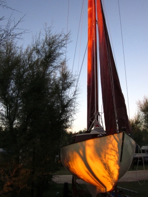 [Immagine: 20108812584_IMG_0164.jpg]